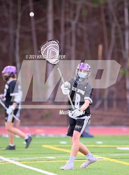 Thumbnail 2 in Holly Springs @ Cardinal Gibbons photogallery.