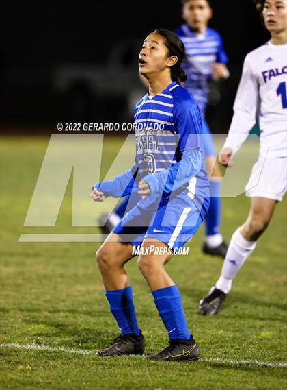 Thumbnail 3 in Christian Brothers vs. Sierra (CIF SJS D3 Playoff) photogallery.