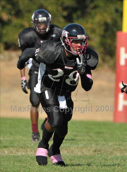 Thumbnail 1 in McClatchy @ Johnson photogallery.
