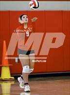 Photo from the gallery "Orland @ Chico"