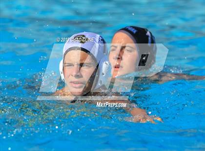 Thumbnail 3 in Capistrano Valley @ Villa Park photogallery.