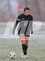 Photo from the gallery "Golden @ Pomona"