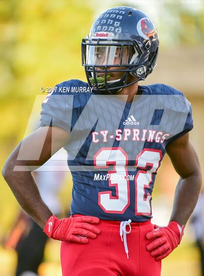 Thumbnail 1 in Langham Creek @ Cypress Springs photogallery.