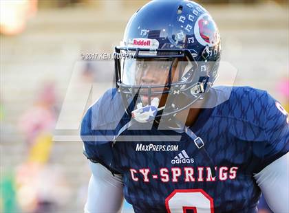 Thumbnail 3 in Langham Creek @ Cypress Springs photogallery.