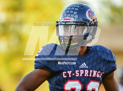 Thumbnail 3 in Langham Creek @ Cypress Springs photogallery.