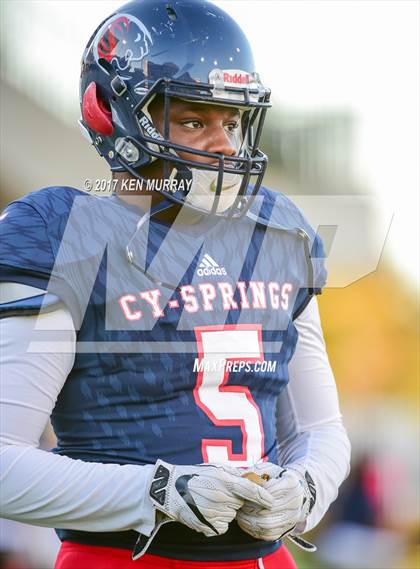Thumbnail 3 in Langham Creek @ Cypress Springs photogallery.