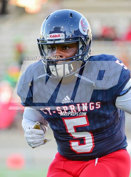 Thumbnail 1 in Langham Creek @ Cypress Springs photogallery.