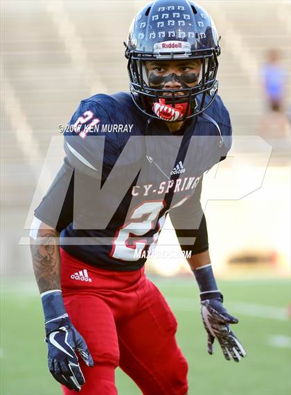 Thumbnail 2 in Langham Creek @ Cypress Springs photogallery.