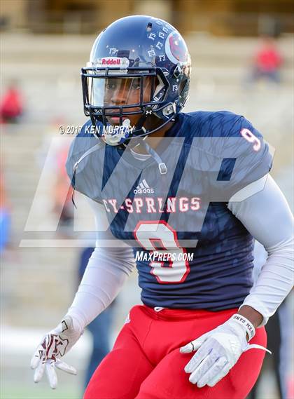 Thumbnail 1 in Langham Creek @ Cypress Springs photogallery.