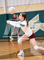 Photo from the gallery "Crescent City @ St. Joseph Academy"