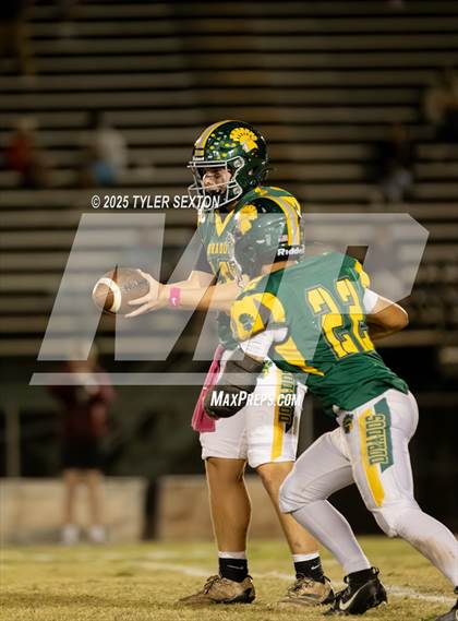 Thumbnail 2 in Casa Grande @ Canyon del Oro photogallery.