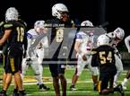Photo from the gallery "Gar-Field @ Woodbridge"