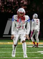 Photo from the gallery "Gar-Field @ Woodbridge"