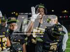 Photo from the gallery "Gar-Field @ Woodbridge"