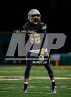 Photo from the gallery "Gar-Field @ Woodbridge"