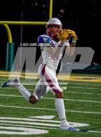 Photo from the gallery "Gar-Field @ Woodbridge"