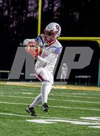 Photo from the gallery "Gar-Field @ Woodbridge"