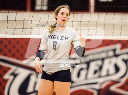 Thumbnail 1 in Higley @ McClintock photogallery.