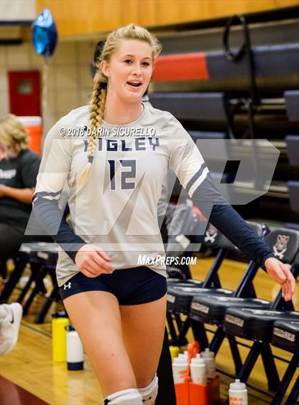 Thumbnail 2 in Higley @ McClintock photogallery.