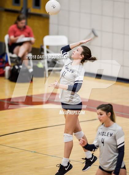 Thumbnail 2 in Higley @ McClintock photogallery.