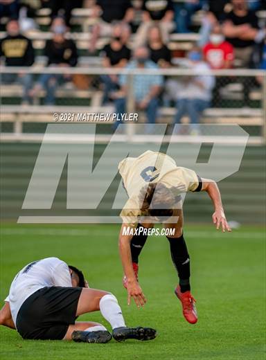 null - Photo 21