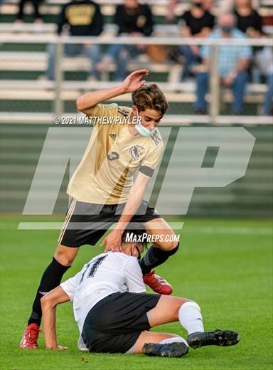 null - Photo 01
