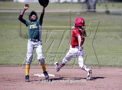 Thumbnail 3 in Verbena vs. Central (Maplesville) photogallery.