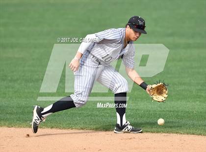 Thumbnail 3 in Churchill vs Johnson photogallery.