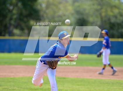Thumbnail 3 in Barlow @ San Pasqual (Lions Tournament) photogallery.