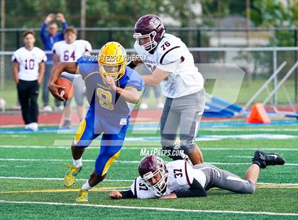 Thumbnail 3 in Orchard Park @ Lockport photogallery.