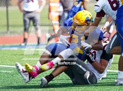 Thumbnail 1 in Orchard Park @ Lockport photogallery.