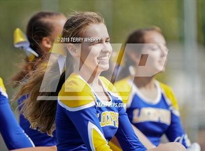 Thumbnail 3 in Orchard Park @ Lockport photogallery.
