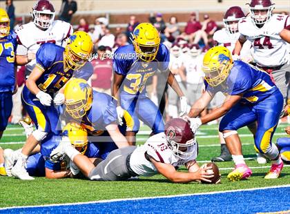 Thumbnail 3 in Orchard Park @ Lockport photogallery.