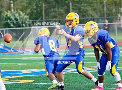 Thumbnail 3 in Orchard Park @ Lockport photogallery.