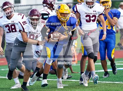 Thumbnail 3 in Orchard Park @ Lockport photogallery.