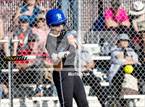 Photo from the gallery "Rocklin @ Whitney"