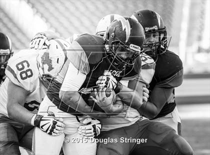 Thumbnail 1 in Pioneer vs. Wilcox @Levi's Stadium photogallery.