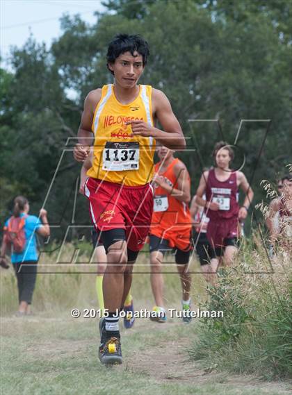 Thumbnail 1 in Cheyenne Mountain Stampede photogallery.