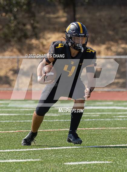 Thumbnail 2 in Napa vs Novato photogallery.