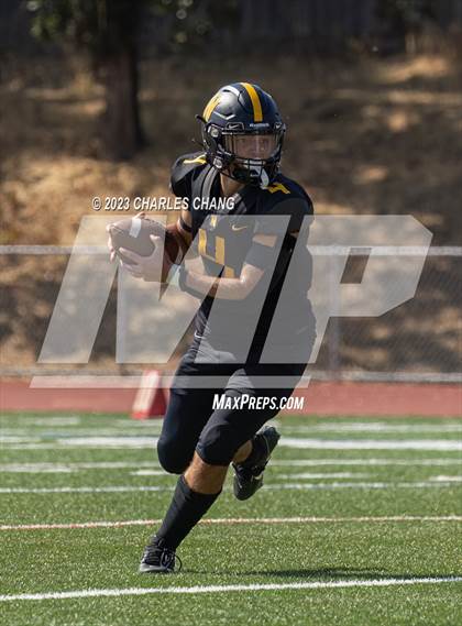 Thumbnail 1 in Napa vs Novato photogallery.