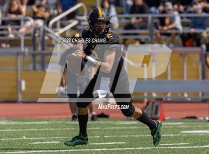 Thumbnail 1 in Napa vs Novato photogallery.