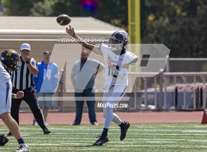 Thumbnail 2 in Napa vs Novato photogallery.