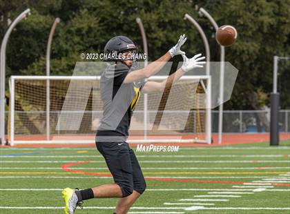 Thumbnail 3 in Napa vs Novato photogallery.