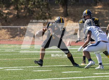 Thumbnail 3 in Napa vs Novato photogallery.