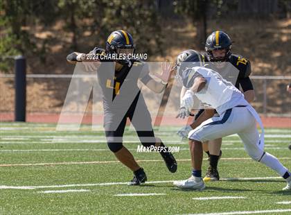 Thumbnail 1 in Napa vs Novato photogallery.