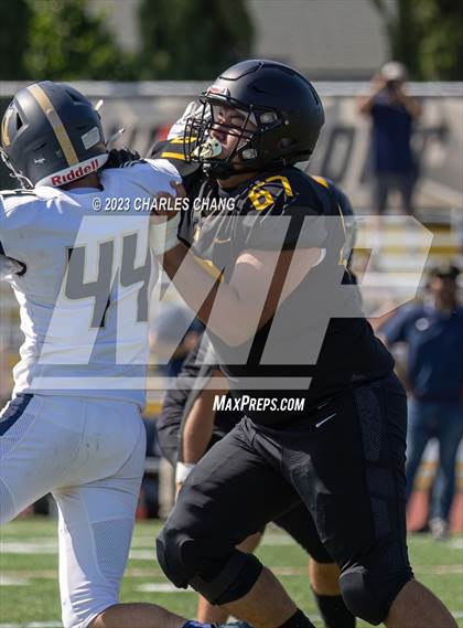 Thumbnail 1 in Napa vs Novato photogallery.
