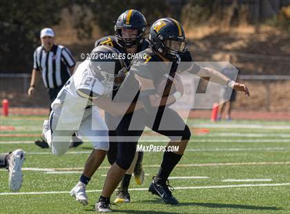 Thumbnail 1 in Napa vs Novato photogallery.