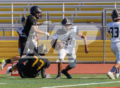 Thumbnail 1 in Napa vs Novato photogallery.