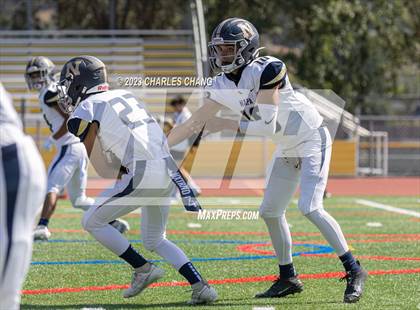 Thumbnail 2 in Napa vs Novato photogallery.