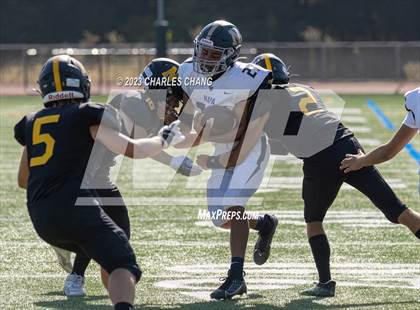 Thumbnail 3 in Napa vs Novato photogallery.
